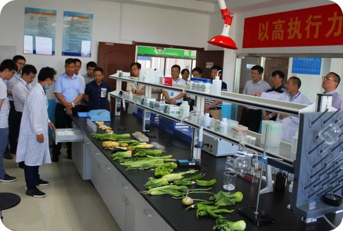 省食品安全快速檢測(cè)信息采集座談會(huì)在徐州雨潤(rùn)公司圓滿舉行